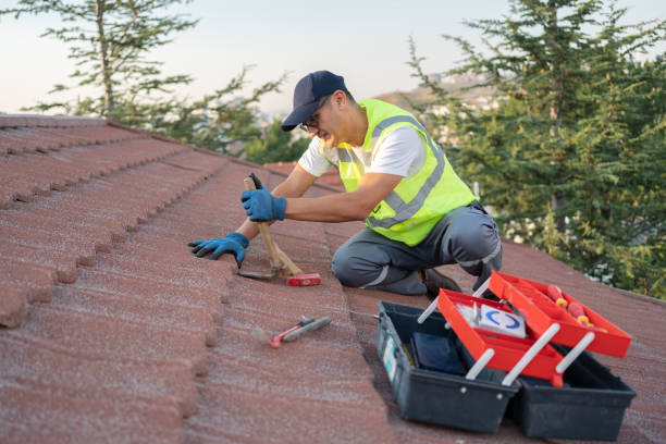 Best Flat Roof Repair Services  in Roxana, IL