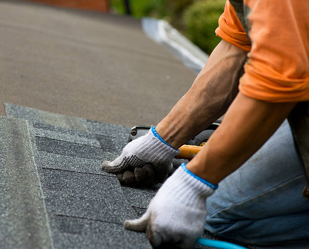 Best Commercial Roofing Services  in Roxana, IL