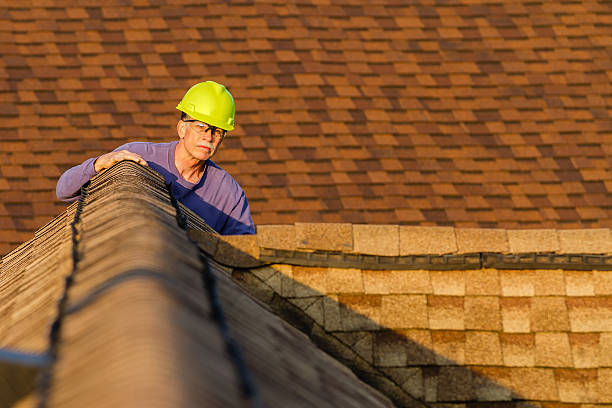 Best Roofing Contractor Near Me  in Roxana, IL