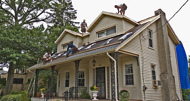 Best Best Roofing Contractors  in Roxana, IL